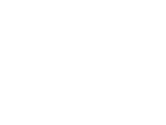 Logo Bering