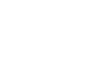 Logo DIESEL
