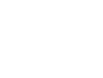 Logo POLICE