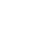 Logo Skagen